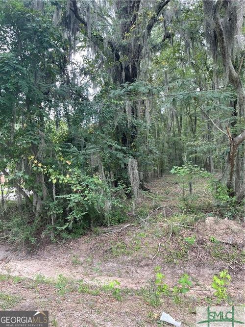0 Big Hill Rd, savannah, GA, 31408 | Card Image