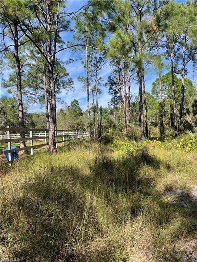 340 S Datil St, Home with 0 bedrooms, 0 bathrooms and null parking in CLEWISTON FL | Image 4