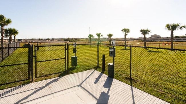 Dog Park | Image 22