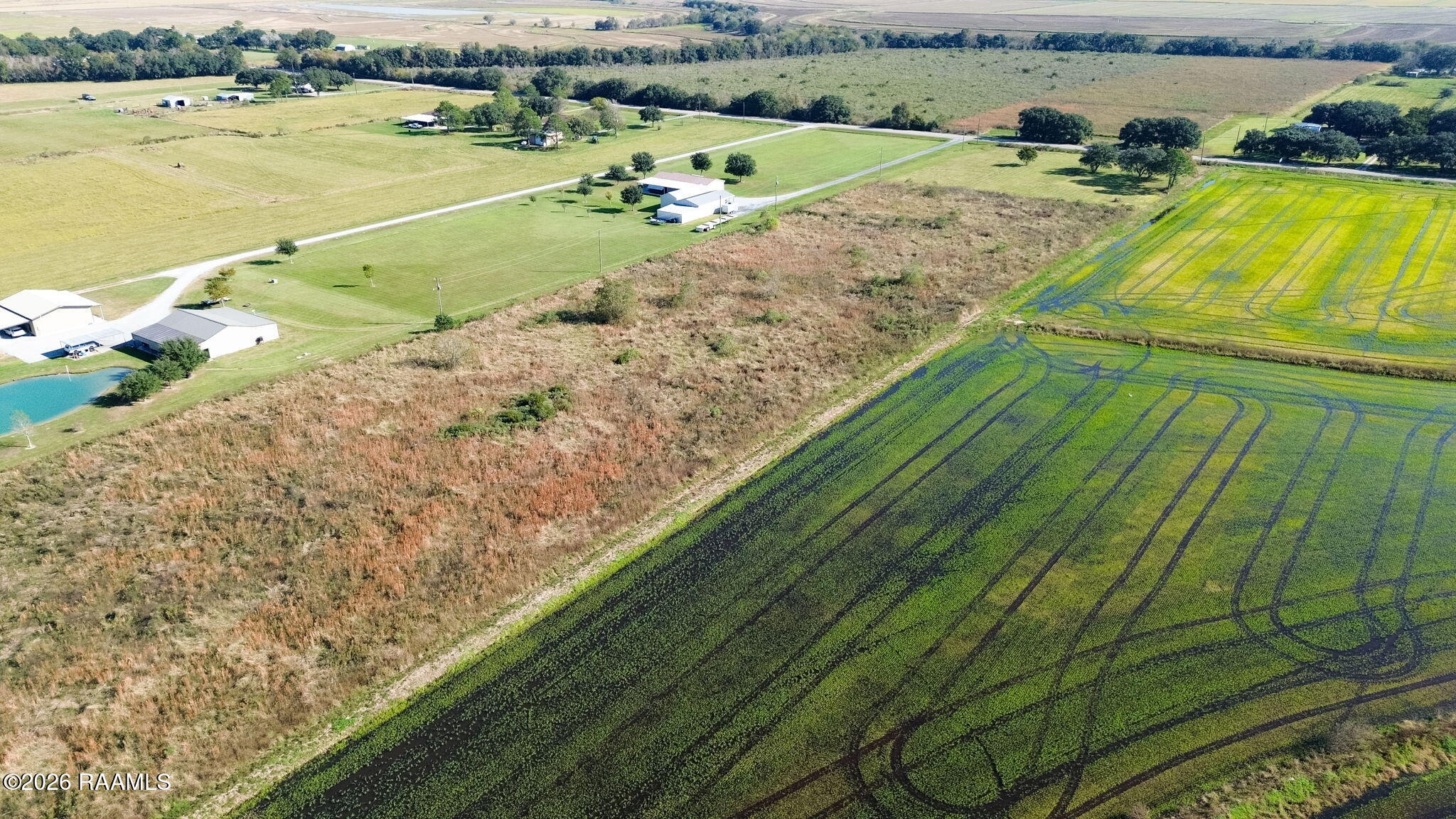 Land in Iota 2