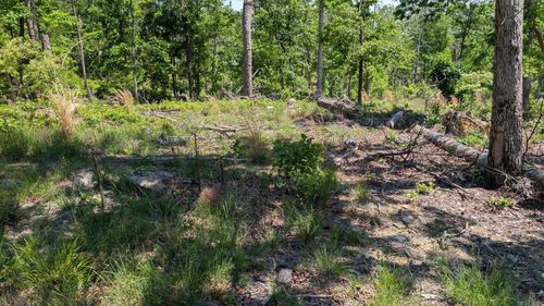 000 Rodrigo Way, Hot Springs Village, AR, 71909 | Card Image