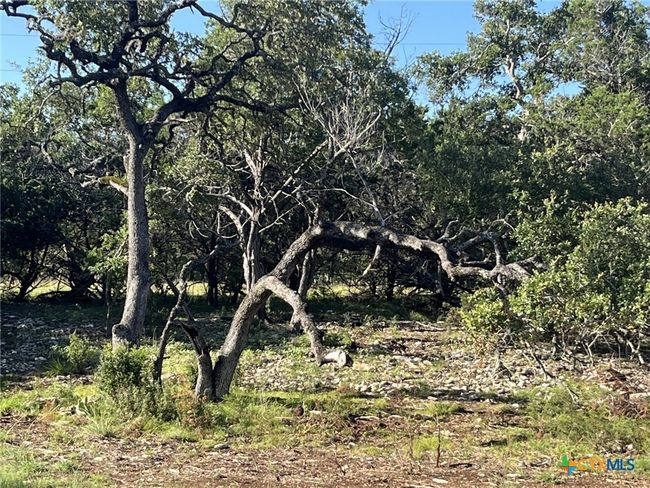 0 Rolling River Vw, Home with 0 bedrooms, 0 bathrooms and null parking in Spring Branch TX | Image 10