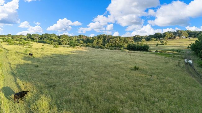 View of nature featuring rural landscape | Image 31