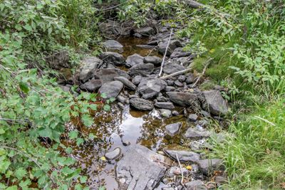 Mount Creek at the entrance to Haskill Mountain Ranch. | Image 2