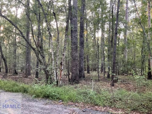 0 Cherry Lane, Hinesville, GA, 31313 | Card Image