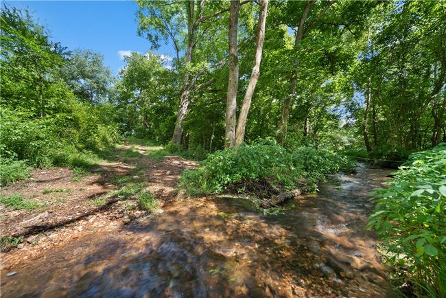 Creek crossing from access easement between Lots 12 and 13 to amenity area. | Image 6