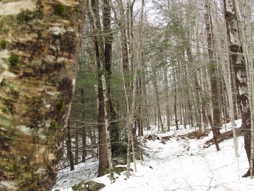 lot A Pynchon Rd, Chesterfield, MA, 01012-9731 | Card Image