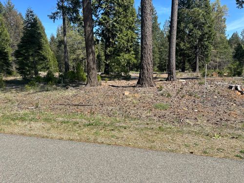 Lot 9 Princess Pine Place, Shingletown, CA, 96088 | Card Image