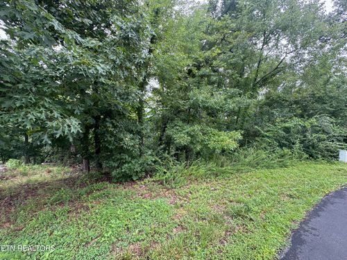 312 Skiatook Cir, Loudon, TN, 37774-8202 | Card Image