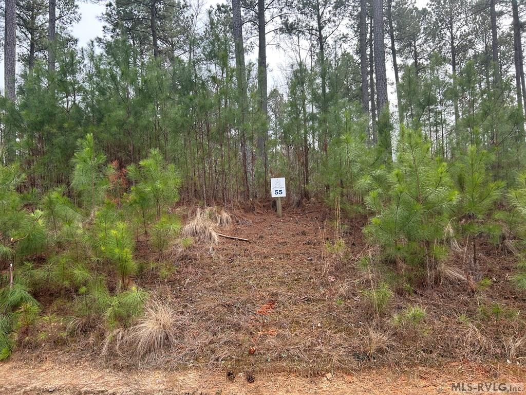 Land in Macon 2