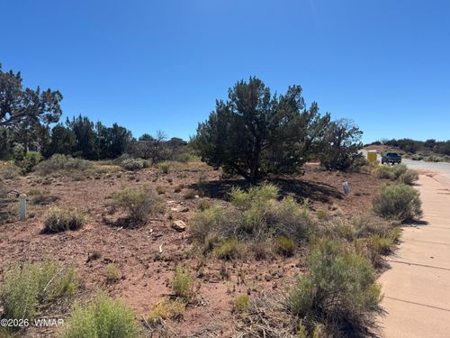 W Sand Trap Lane, Snowflake, AZ, 85937 | Card Image