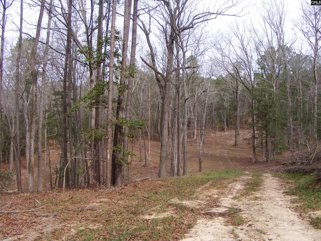 0 Great Circle Drive, Home with 0 bedrooms, 0 bathrooms and null parking in St. Matthews SC | Image 8