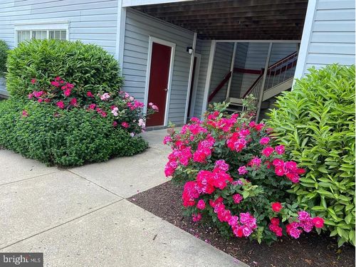 apt-236-14-9901 Boysenberry Way, GAITHERSBURG, MD, 20879-3678 | Card Image