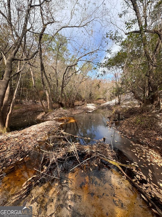 0 Highway 185, Home with 0 bedrooms, 0 bathrooms and null parking in Saint George GA | Image 44