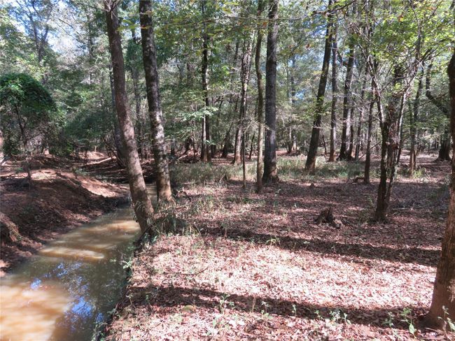 9795 S Us Highway 59, Home with 0 bedrooms, 0 bathrooms and null parking in Nacogdoches TX | Image 16