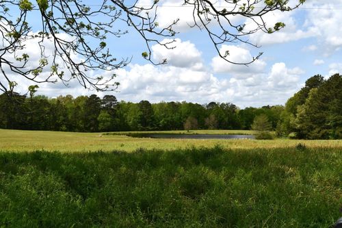 corner-of-pumpkin-center-TBD Pumpkin Center Rd, Marshall, TX, 75672 | Card Image