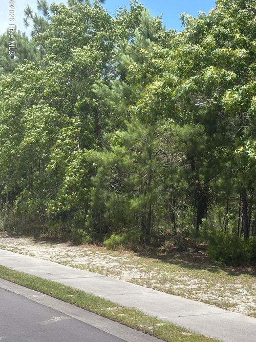 3005 Arundel Hl Sw, Shallotte, NC, 28470-0013 | Card Image