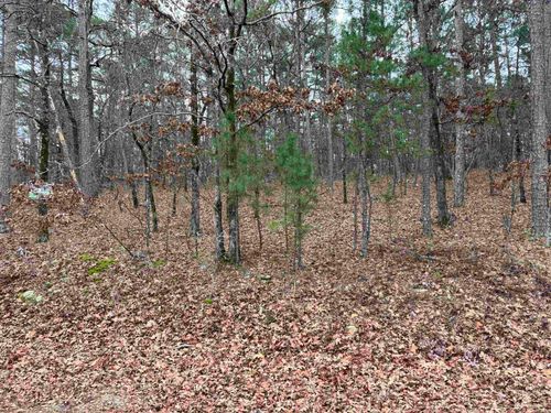 Lot 1 Fineza Way, Hot Springs Village, AR, 71909-5500 | Card Image