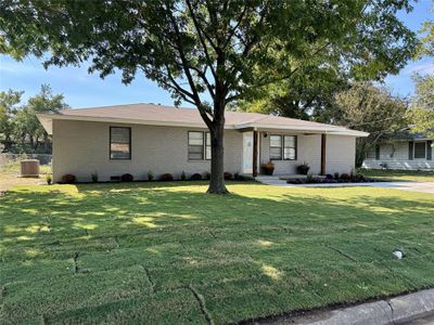 fresh sod and landscaping with drip system | Image 3