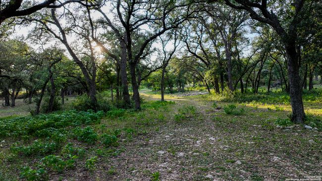 543 Narrows Rd, Home with 0 bedrooms, 0 bathrooms and null parking in Blanco TX | Image 33