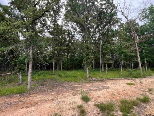TBD Lot 40 Fisherman'S Bay, Quitman, TX, 75783 | Card Image