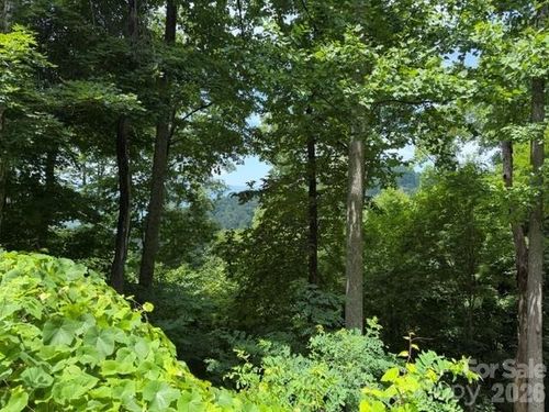 Lot 22 Spring Rock Road, Burnsville, NC, 28714 | Card Image