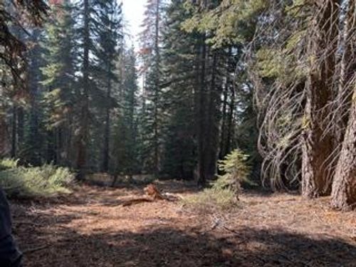 23 Blue Rock Trail, Dorrington, CA, 95223 | Card Image