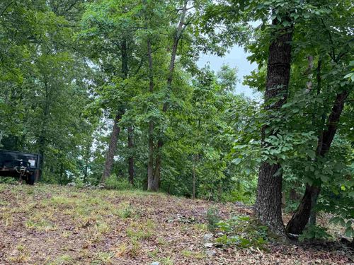 Off Of Morgan Cave Road, Harrison, AR, 72601 | Card Image