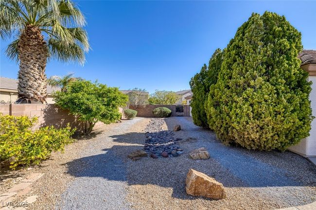110 Power Outlet exists here for possible gazebo off Casita, Lemon trees on left | Image 71