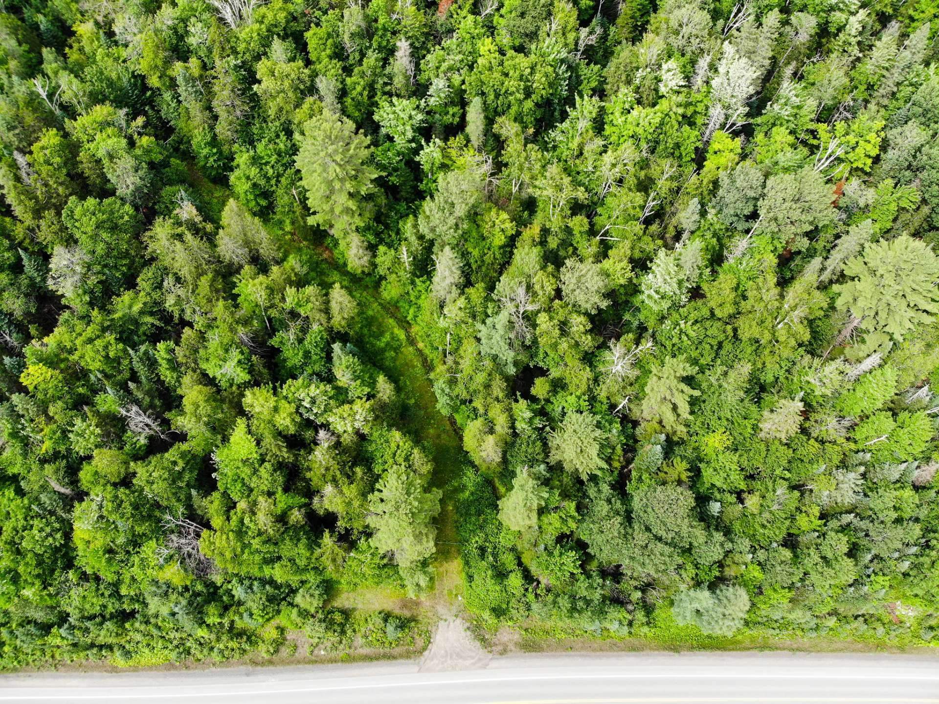 Land in Morin-Heights 2