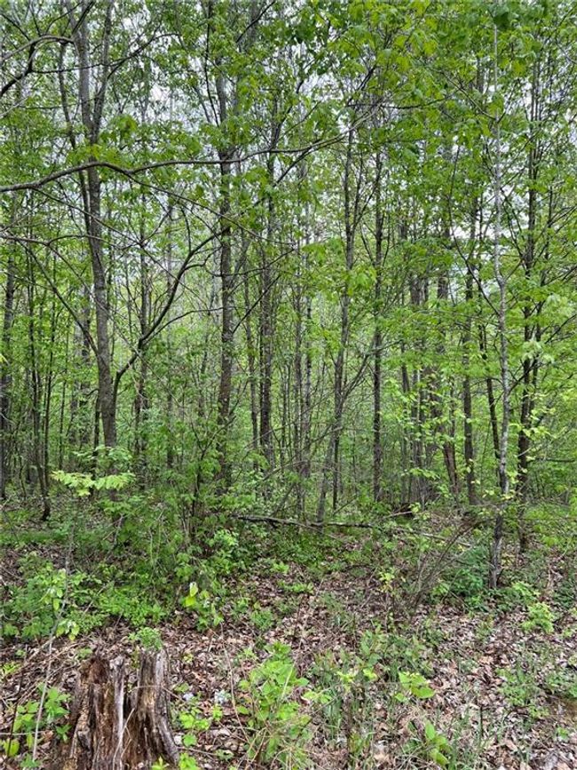 W 4670 County Highway F, House other with 2 bedrooms, 1 bathrooms and null parking in SPRINGBROOK WI | Image 10