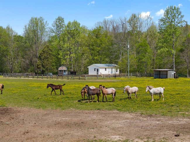 2631 Old Weatherford Creek Rd, Home with 0 bedrooms, 0 bathrooms and null parking in Lutts TN | Image 7