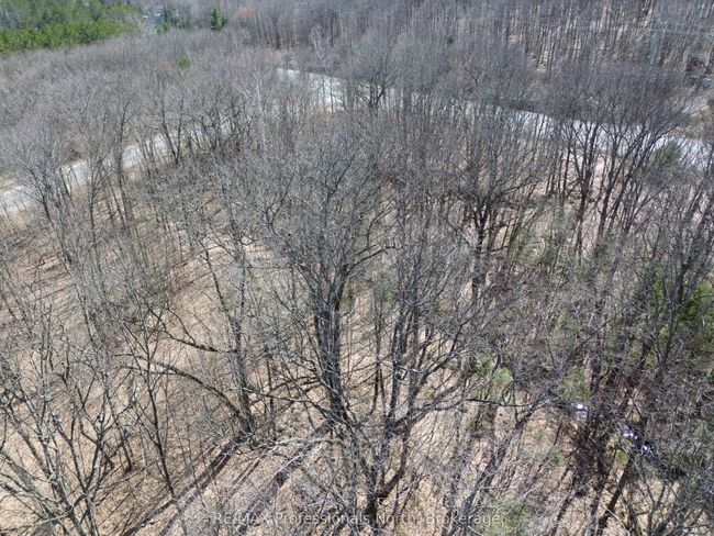 1023 Little Hawk Lake Rd, Home with 0 bedrooms, 0 bathrooms and null parking in Algonquin Highlands ON | Image 5