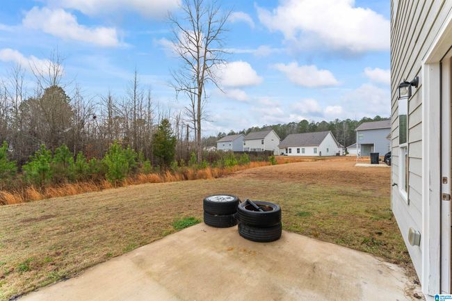 120 Fallen Oaks Ln, House other with 4 bedrooms, 3 bathrooms and null parking in SPRINGVILLE AL | Image 22