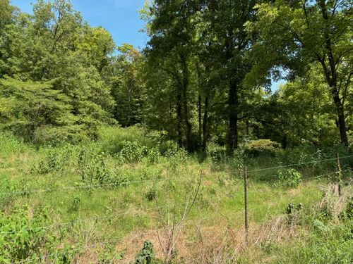 0 Cathcart Rd, Frankewing, TN, 38459 | Card Image