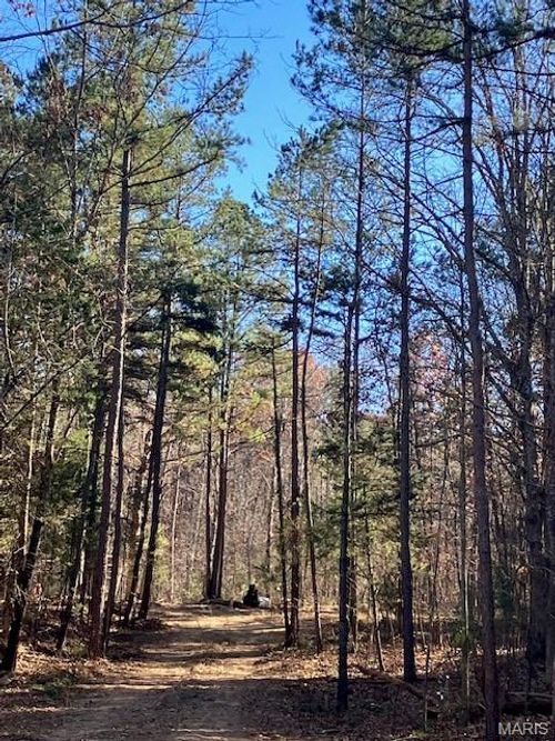 254 Madison Cr 410, Fredericktown, MO, 63645 | Card Image