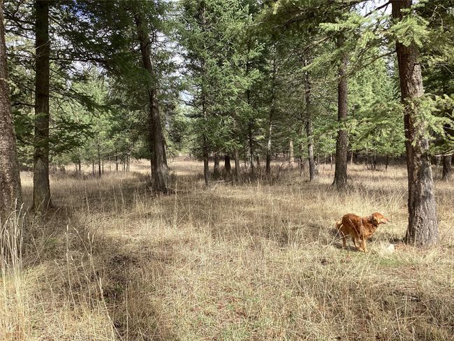 1 Eagle Pass Road, Home with 0 bedrooms, 0 bathrooms and null parking in Charlo MT | Image 24