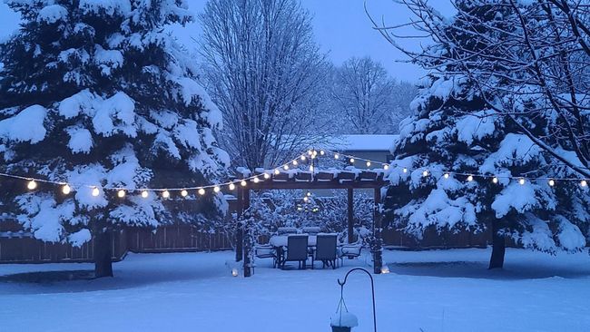 Winter | Image 48