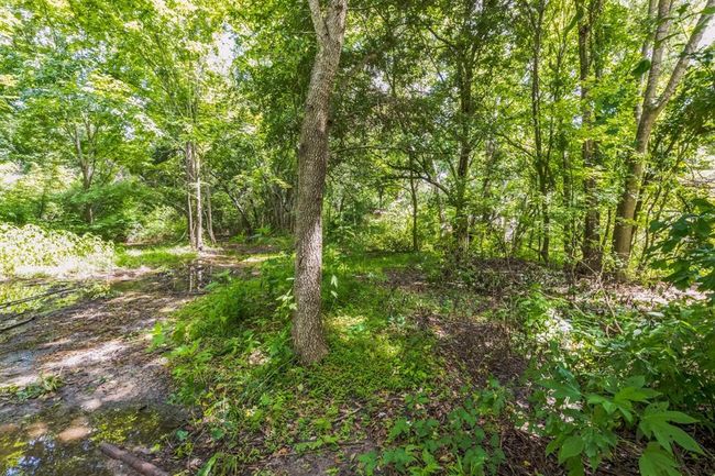 0 Davis Bend Rd, Home with 0 bedrooms, 0 bathrooms and null parking in Alvin TX | Image 25