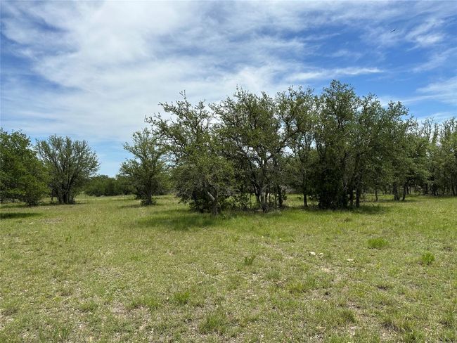 58 Bryce Trail, Home with 0 bedrooms, 0 bathrooms and null parking in Briggs TX | Image 5