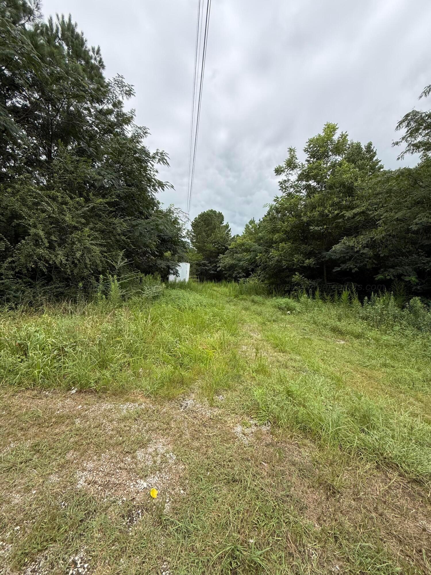 Land in Double Springs 2
