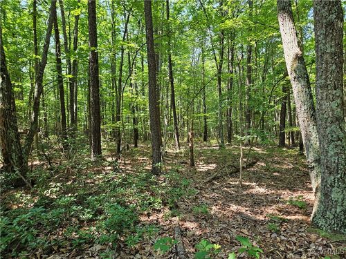 5.6 Ac Meadow Creek Road, WINGINA, VA, 24599 | Card Image