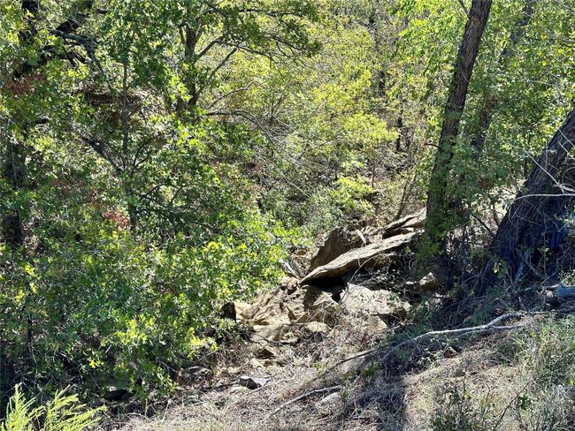 View of nature featuring a view of trees | Image 7