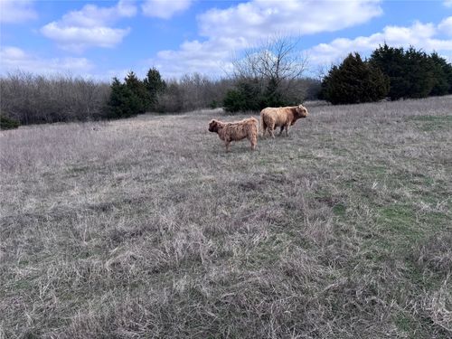 d-4081 Fm 2736, Campbell, TX, 75422-1219 | Card Image