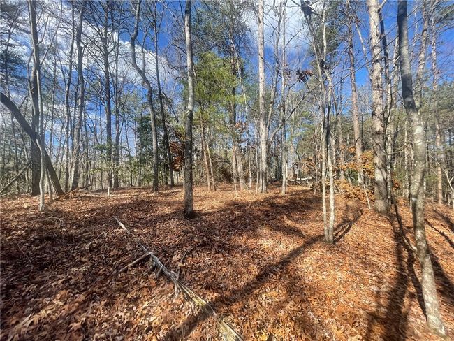 00 Academy Rd, Home with 0 bedrooms, 0 bathrooms and null parking in Mountain Rest SC | Image 36