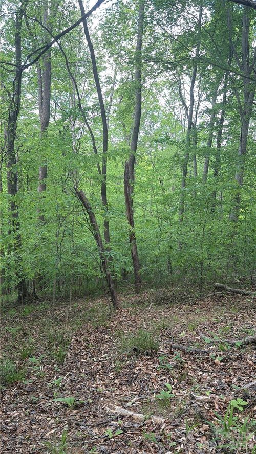 284-0 Overstone Drive, Rutherfordton, NC, 28139 | Card Image