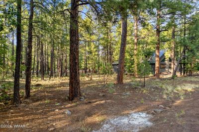 6938PalominoDr-Pinetop-AZ-2 | Image 2