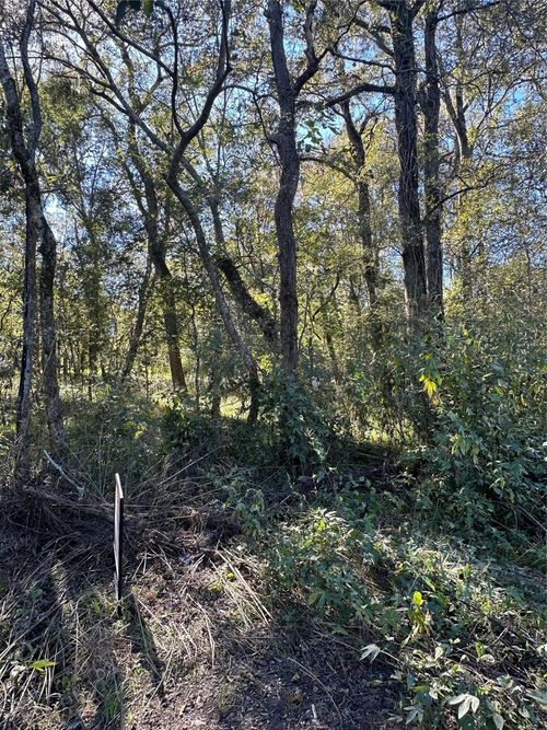 00 Oak Forest Dr, Guy, TX, 77444 | Card Image