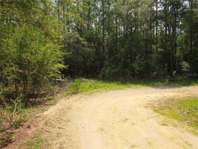 This is a Gorgeous 1.33 Acre Setting At End of Cul-De-Sac! Don't Miss This Opportunity To Own This Property!!Located In Ocala Highlands West Subdivision. | Image 2