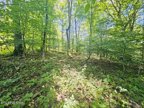 109 Odali Ln, Loudon, TN, 37774-3017 | Card Image
